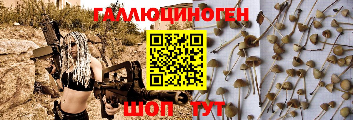 Галлюциногенные грибы Cubensis  Псилоцибиновые грибы мухоморы  Вход с VPN  Кириши 