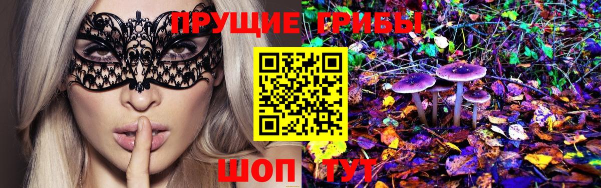 Псилоцибиновые грибы прущие грибы Кириши